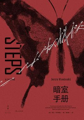 暗室手册：A Novel