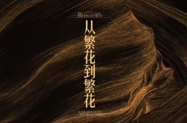 《繁花》：解锁个人发展密码，透视时代浪潮下的成长启示