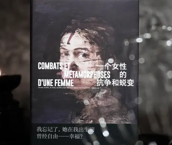 《一个女性的抗争和蜕变》——抗争与蜕变的深刻探索