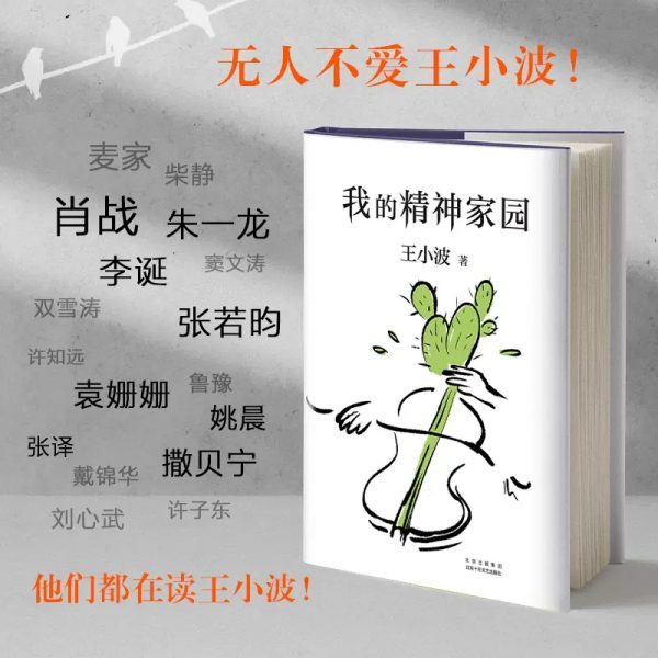在循规蹈矩的迷宫中寻找自由：王小波的《我的精神家园》